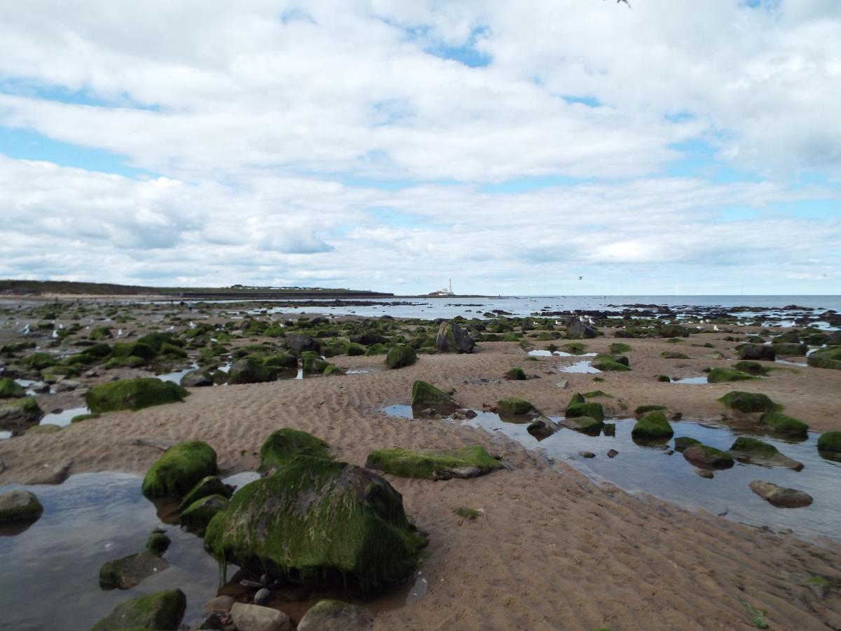 Boquhanran Caravan, Whitley Bay Hartley Exteriér fotografie